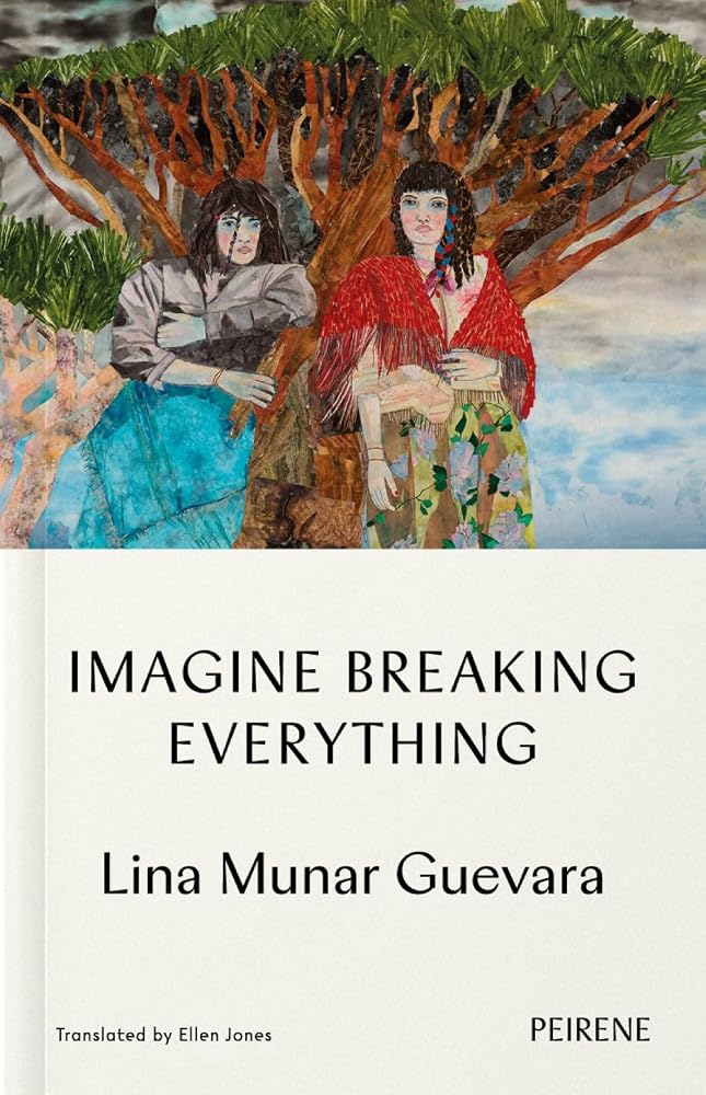 Imagine Breaking Everything cover image